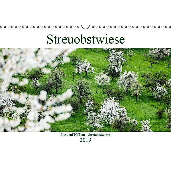 Lust auf NaTour - Streuobstwiese (Wandkalender 2019 DIN A3 quer), Andreas Riedmiller