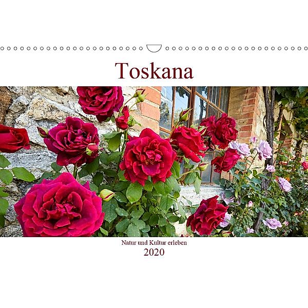 Lust auf NaTour - Toskana (Wandkalender 2020 DIN A3 quer), Andreas Riedmiller