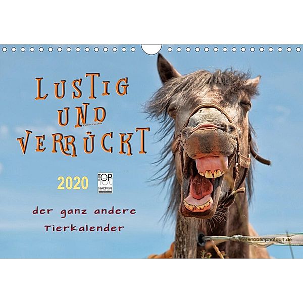 Lustig und verrückt - der ganz andere Tierkalender (Wandkalender 2020 DIN A4 quer), Peter Roder