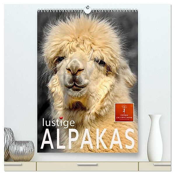 Lustige Alpakas (hochwertiger Premium Wandkalender 2024 DIN A2 hoch), Kunstdruck in Hochglanz, Peter Roder