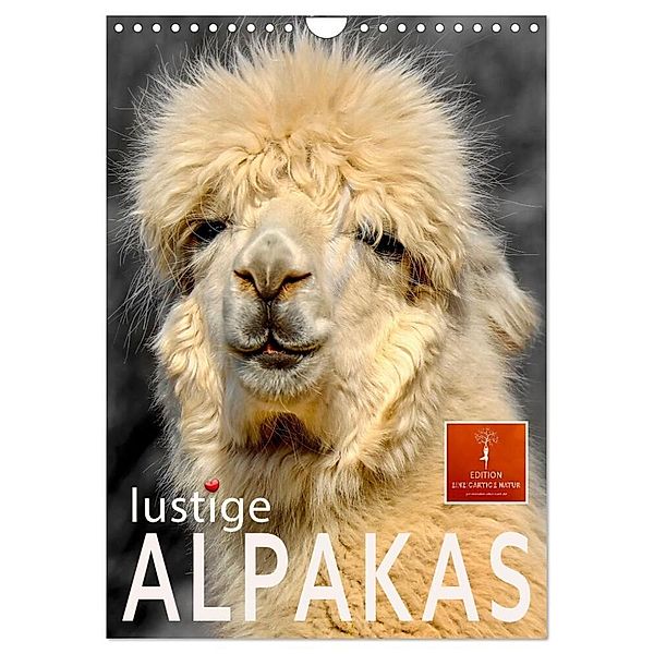 Lustige Alpakas (Wandkalender 2024 DIN A4 hoch), CALVENDO Monatskalender, Peter Roder