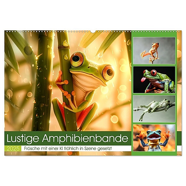Lustige Amphibienbande (Wandkalender 2025 DIN A2 quer), CALVENDO Monatskalender, Calvendo, Steffen Gierok-Latniak
