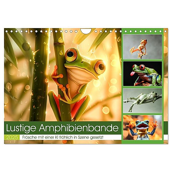 Lustige Amphibienbande (Wandkalender 2025 DIN A4 quer), CALVENDO Monatskalender, Calvendo, Steffen Gierok-Latniak