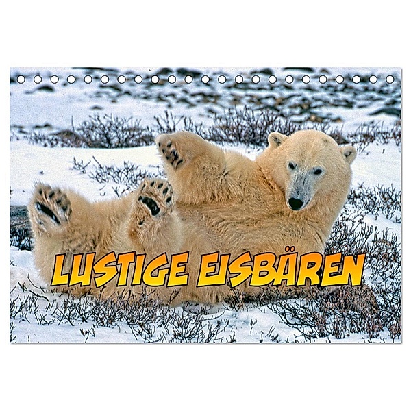 Lustige Eisbären (Tischkalender 2024 DIN A5 quer), CALVENDO Monatskalender, joern stegen