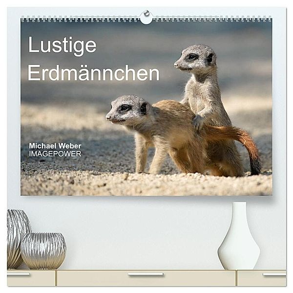 Lustige Erdmännchen (hochwertiger Premium Wandkalender 2024 DIN A2 quer), Kunstdruck in Hochglanz, Michael Weber