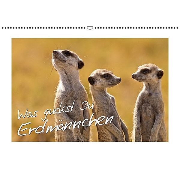 Lustige Erdmännchen Schau an, schau an (Wandkalender 2014 DIN A2 quer)