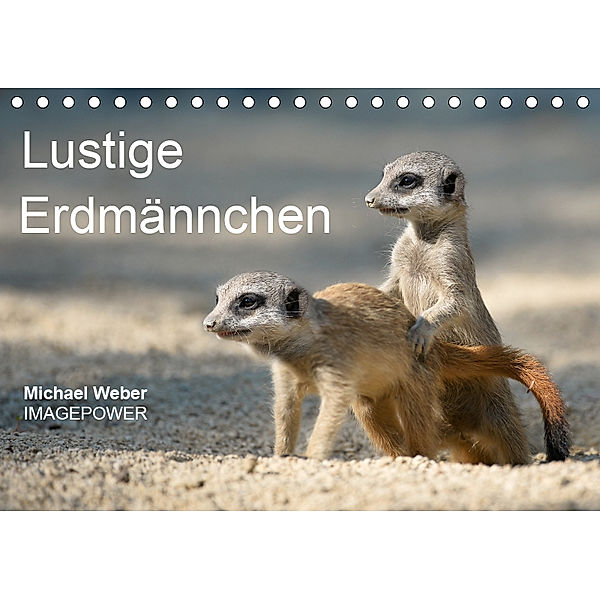 Lustige Erdmännchen (Tischkalender 2019 DIN A5 quer), Michael Weber