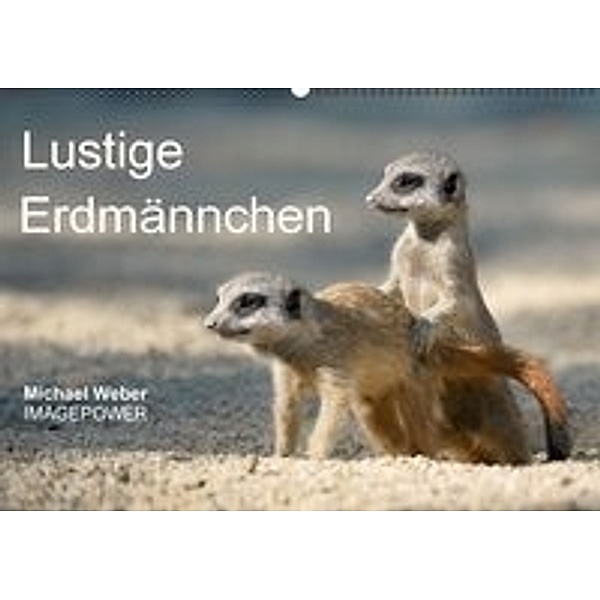 Lustige Erdmännchen (Wandkalender 2016 DIN A2 quer), Michael Weber