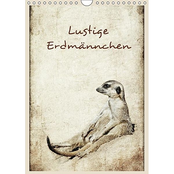 Lustige Erdmännchen (Wandkalender 2017 DIN A4 hoch), Heike Hultsch