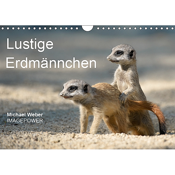 Lustige Erdmännchen (Wandkalender 2019 DIN A4 quer), Michael Weber