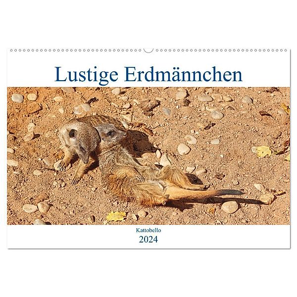 Lustige Erdmännchen (Wandkalender 2024 DIN A2 quer), CALVENDO Monatskalender, Kattobello