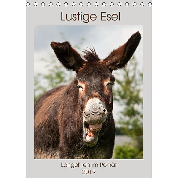 Lustige Esel - Langohren im Porträt (Tischkalender 2019 DIN A5 hoch), Meike Bölts
