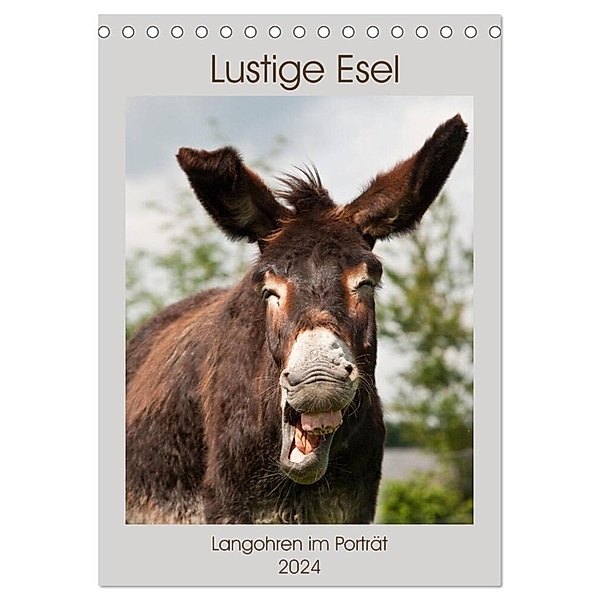 Lustige Esel - Langohren im Porträt (Tischkalender 2024 DIN A5 hoch), CALVENDO Monatskalender, Meike Bölts