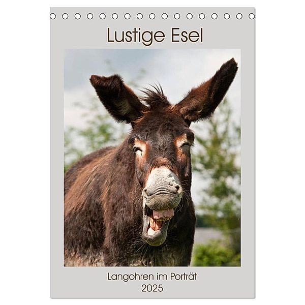 Lustige Esel - Langohren im Porträt (Tischkalender 2025 DIN A5 hoch), CALVENDO Monatskalender, Calvendo, Meike Bölts