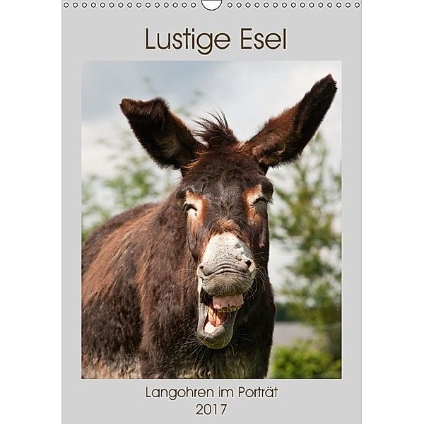 Lustige Esel - Langohren im Porträt (Wandkalender 2017 DIN A3 hoch), Meike Bölts