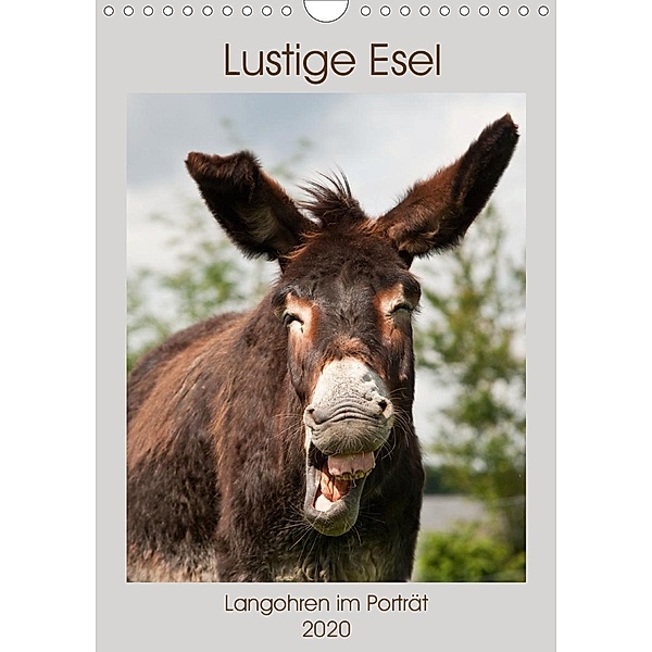 Lustige Esel - Langohren im Porträt (Wandkalender 2020 DIN A4 hoch), Meike Bölts