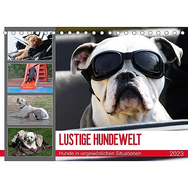 LUSTIGE HUNDEWELT Hunde in ungewönlichen Situationen (Tischkalender 2023 DIN A5 quer), Schnellewelten