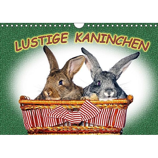 Lustige Kaninchen (Wandkalender 2017 DIN A4 quer), k.A. www.eugenfoto.eu