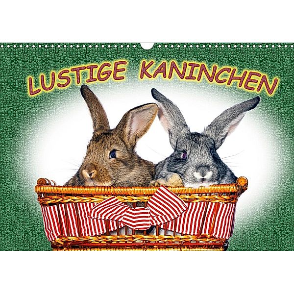 Lustige Kaninchen (Wandkalender 2021 DIN A3 quer), www.eugenfoto.eu