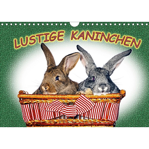 Lustige Kaninchen (Wandkalender 2021 DIN A4 quer), www.eugenfoto.eu