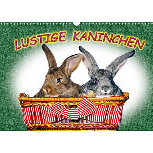 Lustige Kaninchen (Wandkalender 2022 DIN A3 quer), www.eugenfoto.eu