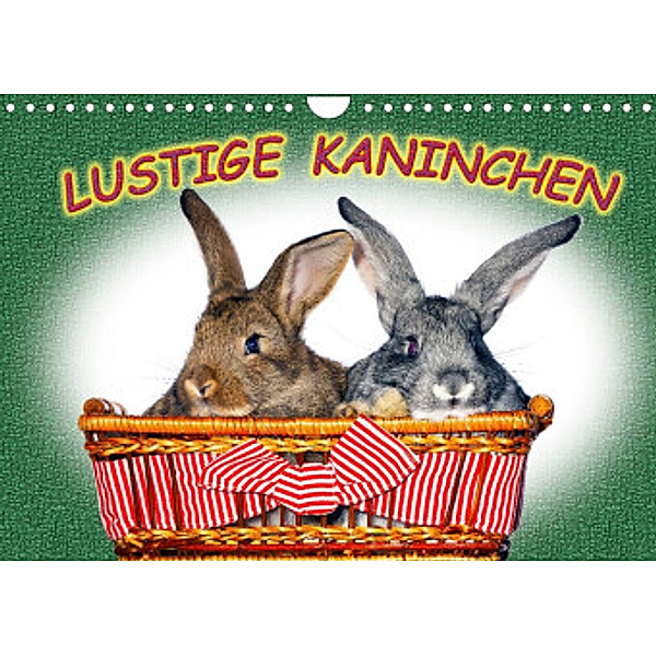 Lustige Kaninchen (Wandkalender 2022 DIN A4 quer), www.eugenfoto.eu