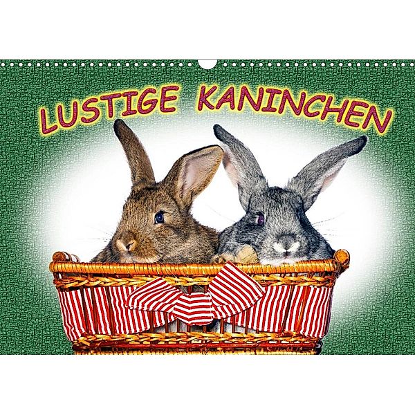 Lustige Kaninchen (Wandkalender 2023 DIN A3 quer), www.eugenfoto.eu