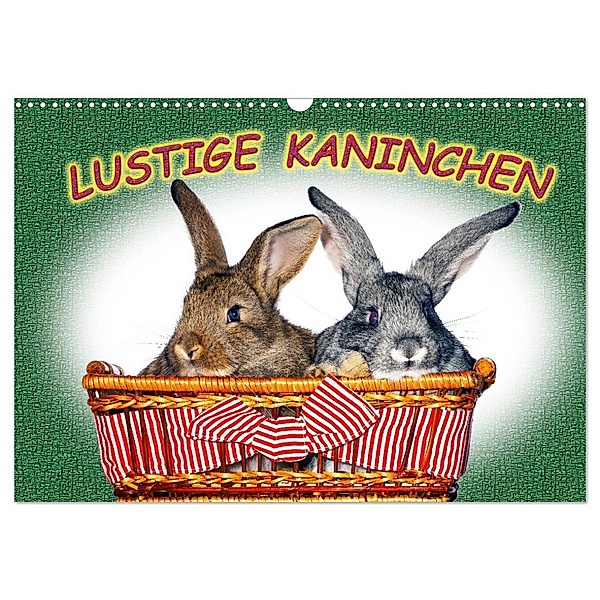 Lustige Kaninchen (Wandkalender 2024 DIN A3 quer), CALVENDO Monatskalender, www.eugenfoto.eu