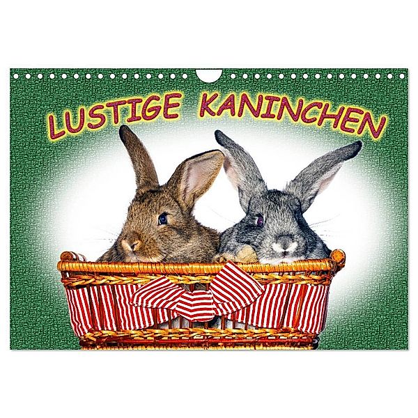 Lustige Kaninchen (Wandkalender 2024 DIN A4 quer), CALVENDO Monatskalender, www.eugenfoto.eu