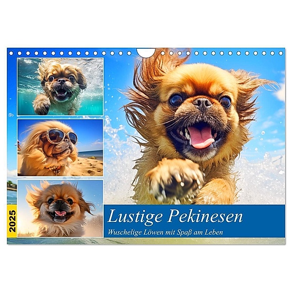 Lustige Pekinesen. Wuschelige Löwen mit Spaß am Leben (Wandkalender 2025 DIN A4 quer), CALVENDO Monatskalender, Calvendo, Rose Hurley
