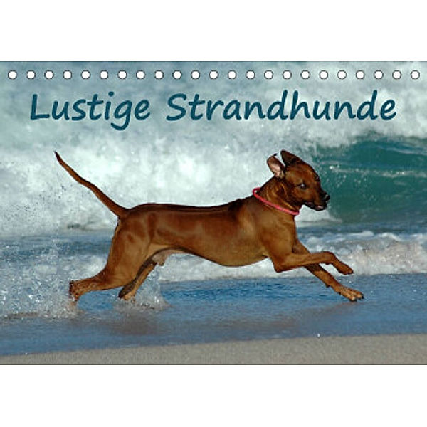 Lustige Strandhunde (Tischkalender 2022 DIN A5 quer), Anke van Wyk - www.germanpix.net