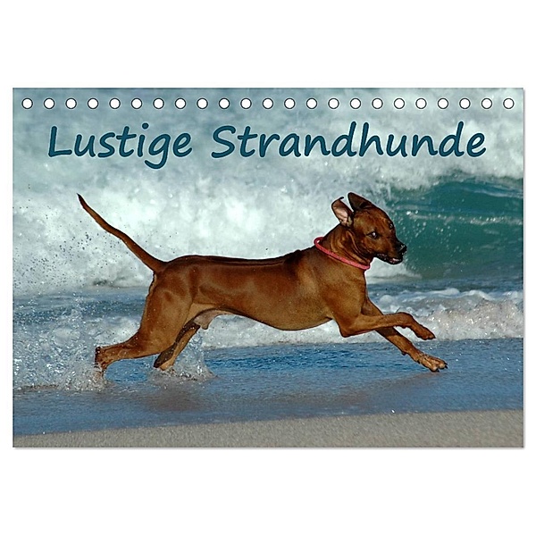 Lustige Strandhunde (Tischkalender 2024 DIN A5 quer), CALVENDO Monatskalender, Anke van Wyk - www.germanpix.net