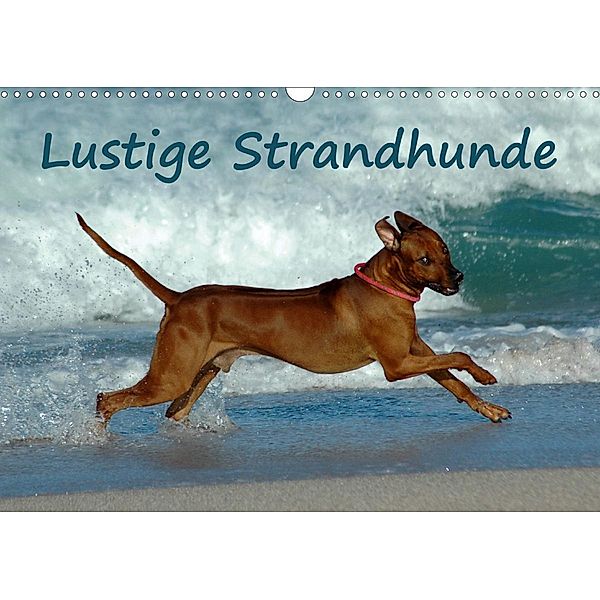 Lustige Strandhunde (Wandkalender 2021 DIN A3 quer), Anke van Wyk - www.germanpix.net