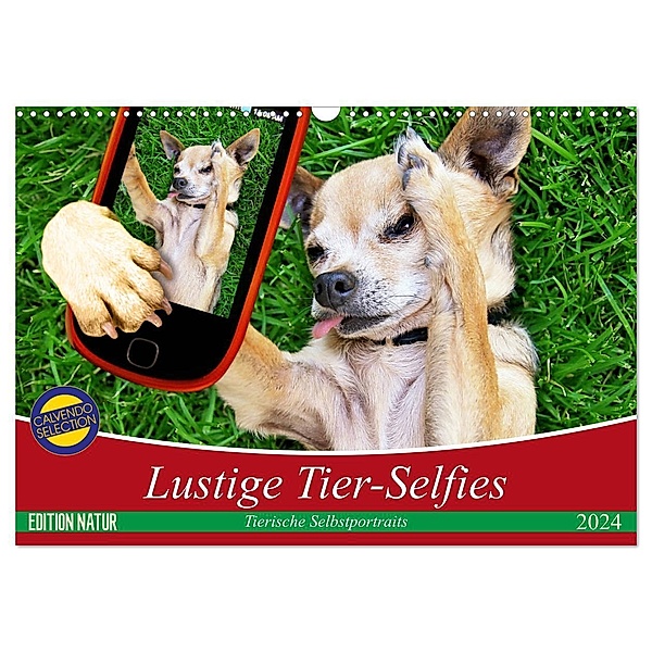 Lustige Tier-Selfies. Tierische Selbstportraits (Wandkalender 2024 DIN A3 quer), CALVENDO Monatskalender, Elisabeth Stanzer