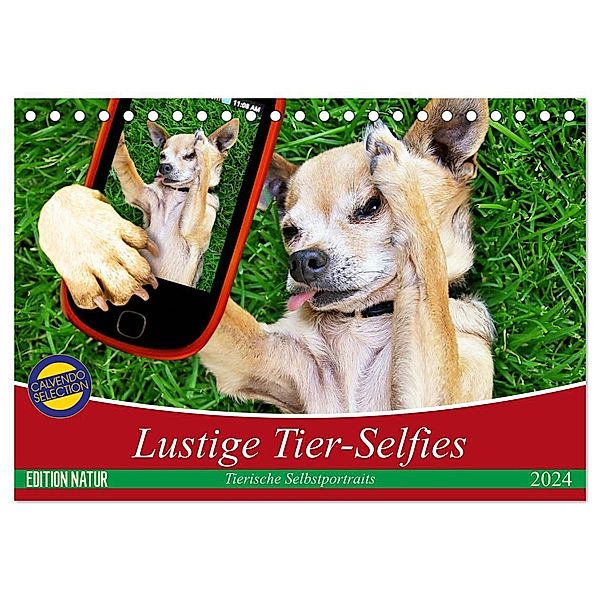 Lustige Tier-Selfies. Tierische Selbstportraits (Tischkalender 2024 DIN A5 quer), CALVENDO Monatskalender, Elisabeth Stanzer