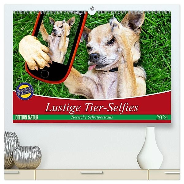 Lustige Tier-Selfies. Tierische Selbstportraits (hochwertiger Premium Wandkalender 2024 DIN A2 quer), Kunstdruck in Hochglanz, Elisabeth Stanzer