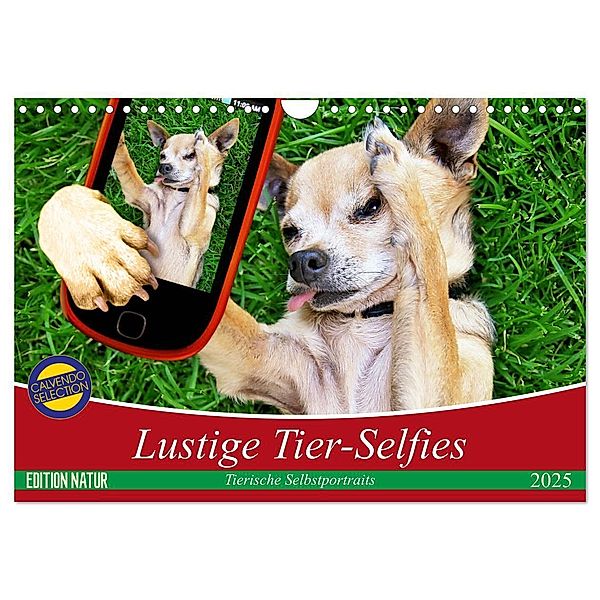 Lustige Tier-Selfies. Tierische Selbstportraits (Wandkalender 2025 DIN A4 quer), CALVENDO Monatskalender, Calvendo, Elisabeth Stanzer