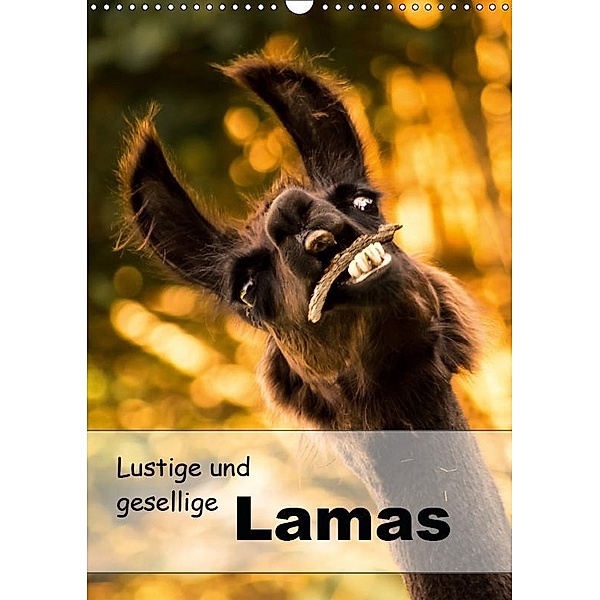 Lustige und gesellige Lamas 2019 (Wandkalender 2019 DIN A3 hoch), Bianca Mentil
