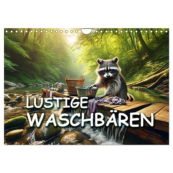 Lustige Waschbären (Wandkalender 2025 DIN A4 quer), CALVENDO Monatskalender, Calvendo, Peter R. Stuhlmann