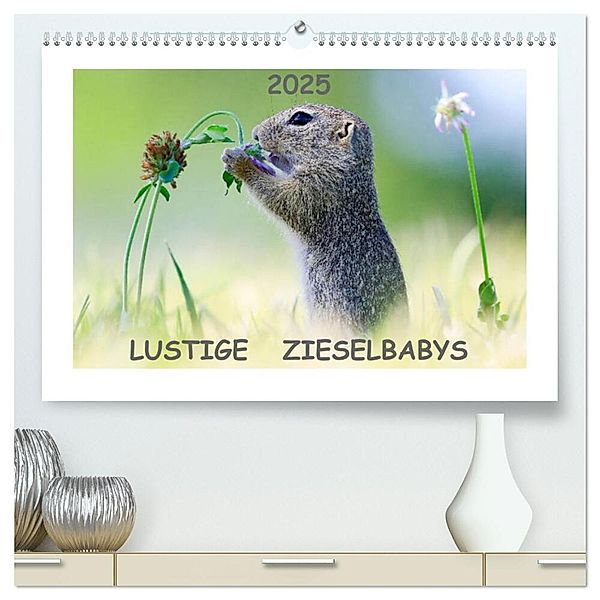 Lustige Zieselbabys (hochwertiger Premium Wandkalender 2025 DIN A2 quer), Kunstdruck in Hochglanz, Calvendo, Werner Lang
