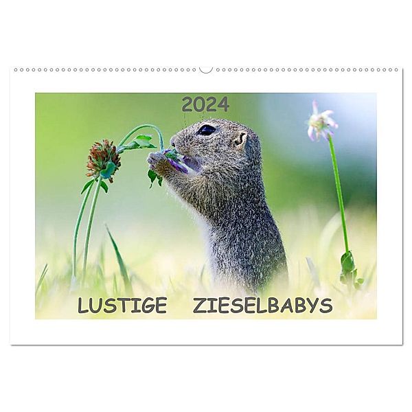 Lustige Zieselbabys (Wandkalender 2024 DIN A2 quer), CALVENDO Monatskalender, Werner Lang