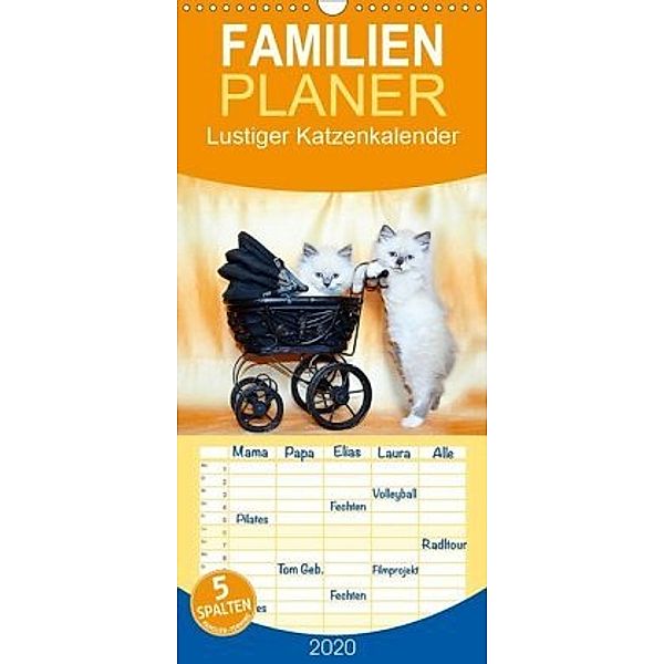 Lustiger Katzenkalender - Familienplaner hoch (Wandkalender 2020 , 21 cm x 45 cm, hoch), Jennifer Chrystal