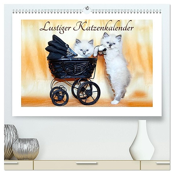 Lustiger Katzenkalender (hochwertiger Premium Wandkalender 2024 DIN A2 quer), Kunstdruck in Hochglanz, Jennifer Chrystal