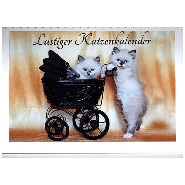 Lustiger Katzenkalender (Tischkalender 2024 DIN A5 quer), CALVENDO Monatskalender, Jennifer Chrystal