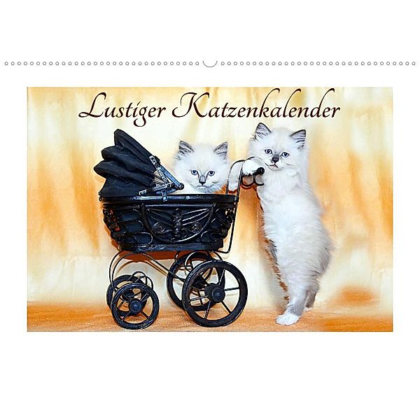 Lustiger Katzenkalender (Wandkalender 2023 DIN A2 quer), Jennifer Chrystal