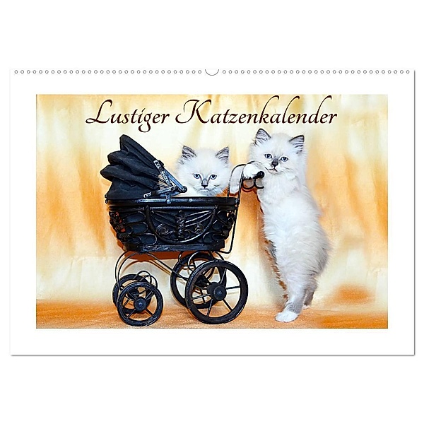 Lustiger Katzenkalender (Wandkalender 2024 DIN A2 quer), CALVENDO Monatskalender, Jennifer Chrystal
