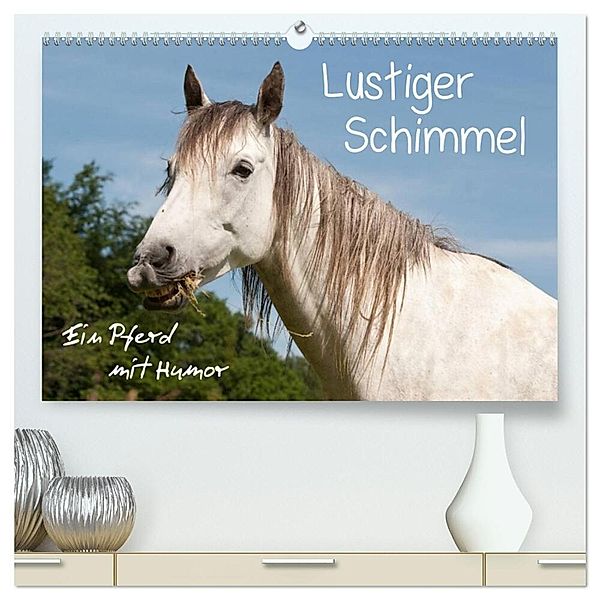 Lustiger Schimmel - ein Pferd mit Humor (hochwertiger Premium Wandkalender 2025 DIN A2 quer), Kunstdruck in Hochglanz, Calvendo, Meike Bölts