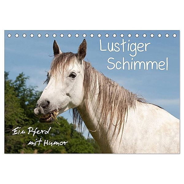 Lustiger Schimmel - ein Pferd mit Humor (Tischkalender 2024 DIN A5 quer), CALVENDO Monatskalender, Meike Bölts