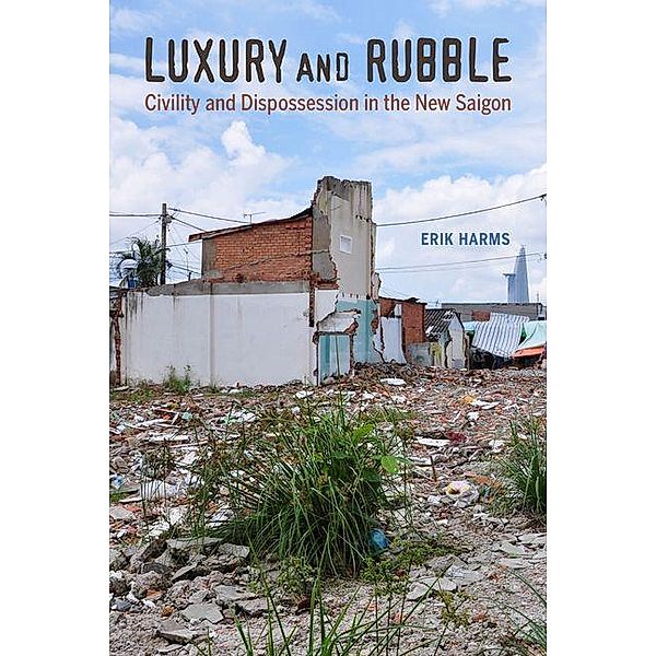 Luxury and Rubble / Asia: Local Studies / Global Themes Bd.32, Erik Harms