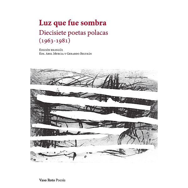 Luz que fue sombra / Poesía Bd.155, Varios Autores